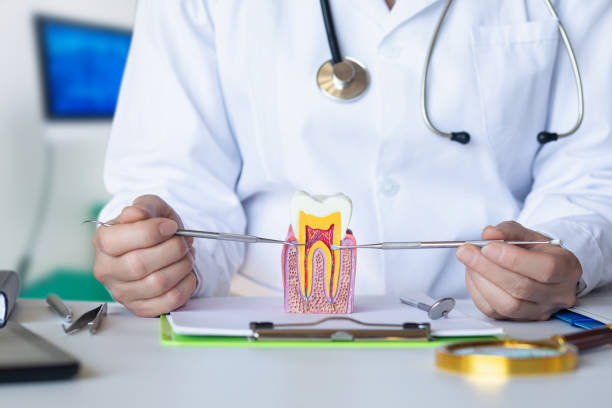 Best Same-Day Emergency Dentist in Crownsville, MD